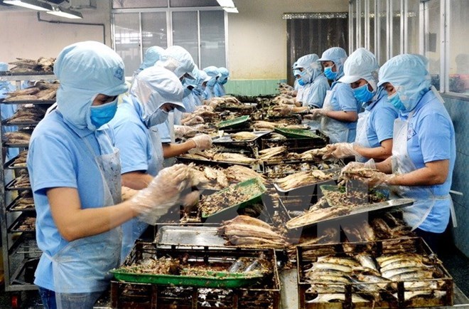 附圖：2018年前兩月越南水產(chǎn)品出口額同比增長(cháng)近30%。（圖片來(lái)源：越通社）